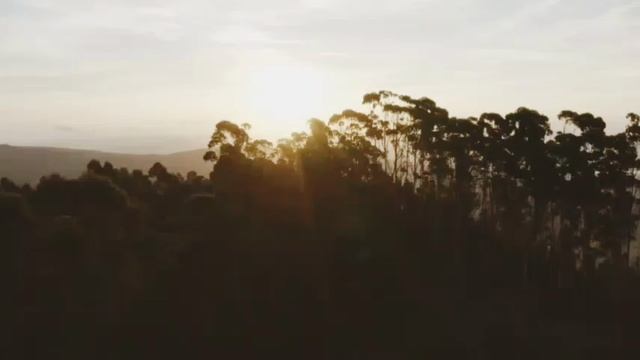 Медитация  пение птиц может помочь вам снять стресс, улучшить настроение смотреть онлайн