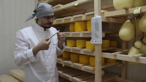 Дегустация сыра в хранилище
