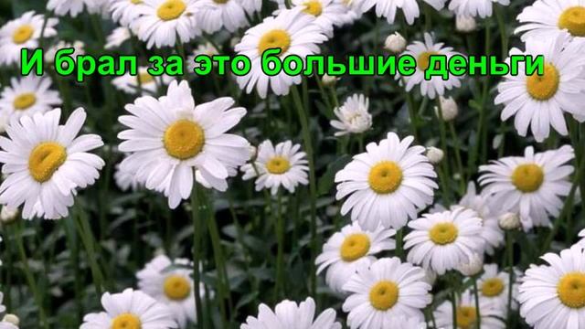 Легенды о цветах Ромашка смотреть онлайн