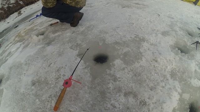 река Оскол залив (Апендицыт) 22.01.2022 Поклевки карася в глухозимье, поисковая рыбалка на легке смотреть онлайн