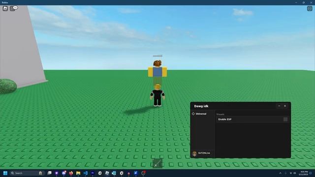 Roblox MESSED UP | How to BYPASS Byfron! смотреть онлайн