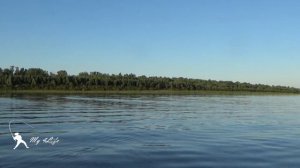 Рыбалка на кольцо. Подводные съемки. Коптим рыбу. Астраханская рыбалка 2020) Часть 12