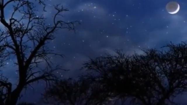 Летняя ночь Николай Марянин смотреть онлайн