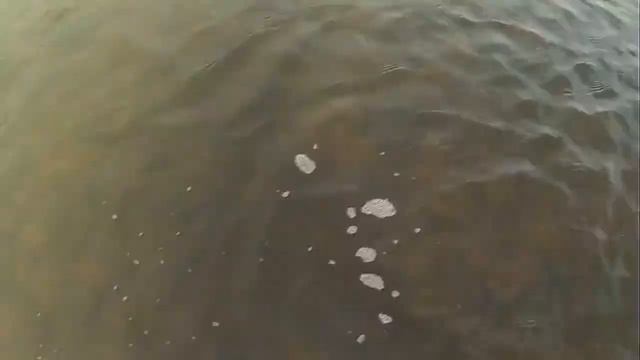 ПОДВОДНЫЙ МЕТАЛЛОИСКАТЕЛЬ КВАЗАР АРМ. ПЕРВЫЙ ВЫХОД НА ВОДУ. смотреть онлайн