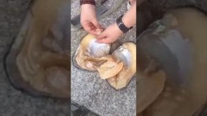 Жемчужина моря. Натуральный жемчуг.