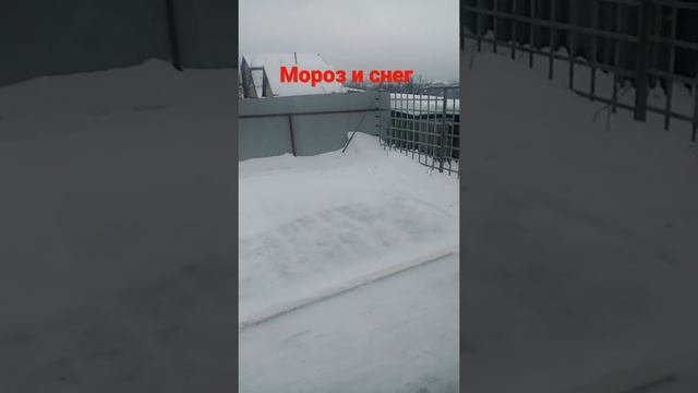 снежное утро