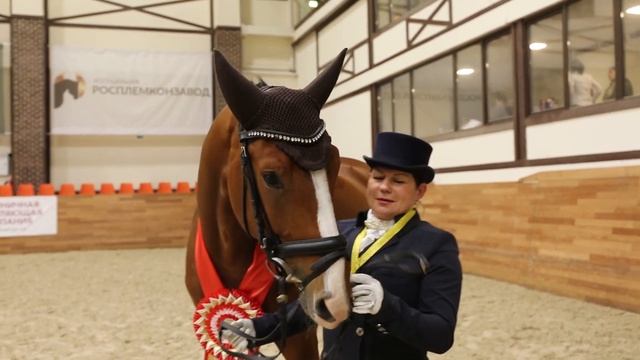 Финал Кубка MAXIMA PARK по выездке смотреть онлайн