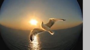 Корабли уходят на закат...  ( 2012)