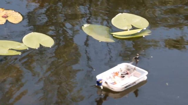 Бюджетный радиоуправляемый кораблик на ардуине с воздушной тягой смотреть онлайн