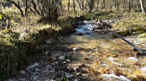 Рыбалка в КБР # fishing ? trout