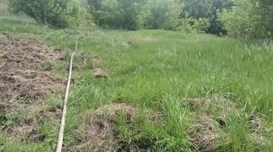 Полив не удался. Мотопомпа Хонда не потянула