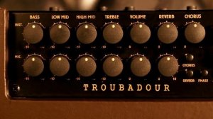 Ibanez T80II - Troubadour Acoustic Guitar Combo Amplifier with AE900NT