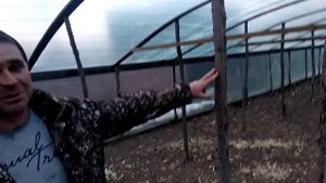 Очень дешевая теплица ! 160кв за 20000 рублей.