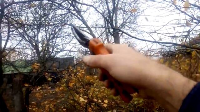 Вишня. ОБРЕЗКА ВИШНИ С ОГОЛЕННЫМИ ВЕТВЯМИ. смотреть онлайн