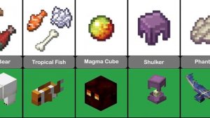 All Minecraft Mobs And Their Drop Items