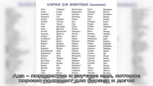 Клички для больших собак-девочек