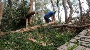 MAKITA DUC405 18v ELECTRIC CHAINSAW- HOW GOOD ARE THEY?