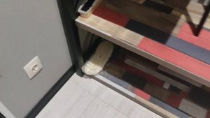 гостиница  Бумеранг г. Владикавказ