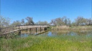 Тайные места на Азовском море//  #пересыпь