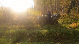 РМ 650-2 и AODES тестим