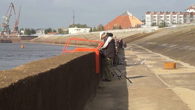 29 августа 2018 г. смотреть онлайн