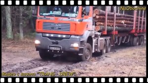 MAN TGS| Какие моторы ставились? Какие КПП? Для чего предназначался.. Хуже ли чем MAN TGX?