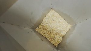 Дозатор весовой для сыпучих продуктов DW-5000