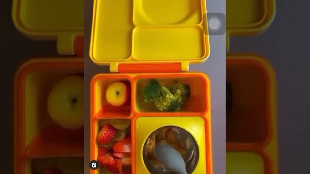 LUNCHBOX FOR YOUR KIDS