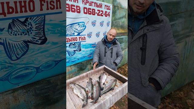 О рыбалке 29 октября Голицыно Fish