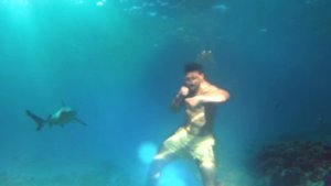 X-Fit — Владимир Минеев #открывайсебя