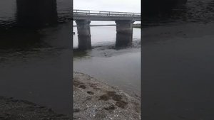 Рыбалка на Кижуча Камчатка