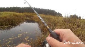 Со спиннингом по Тверце и р.Осеченка (Превью). Рыбалка в Тверской области