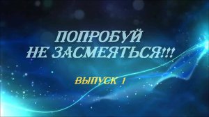 ПОПРОБУЙ НЕ ЗАСМЕЯТЬСЯ 1 (1080p).mp4