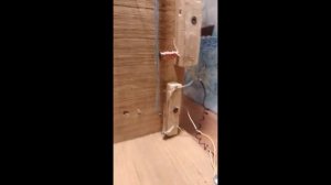 Радио Попова работает.?