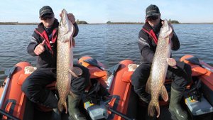 Первый осенний трофей. Пытаюсь научить жену ловить на оффсетную оснастку.