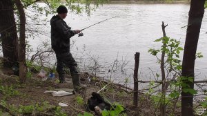 МАЙСКИЙ КАРАСЬ НА ДОНКИ. р.Дон  Небольшая рыбалка возле дома
