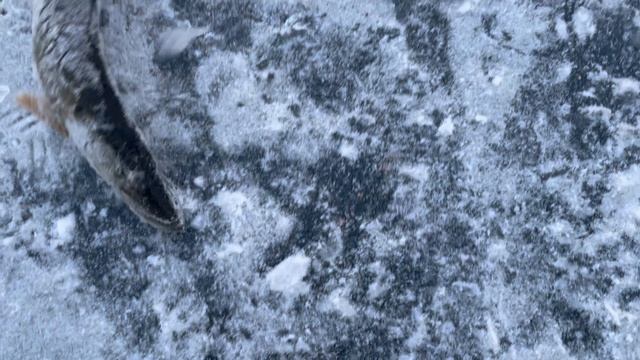 06-12-2023 смотреть онлайн