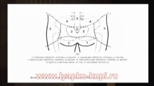 Аппликатор Ляпко Ромашка применение