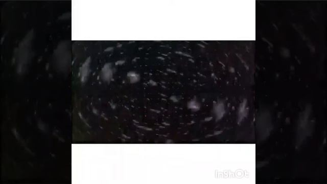 Птица счастья вокал Артём Салгалов слова Евгений Катушенок смотреть онлайн