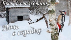 Ночь в скрадке. Быт фотоохотника. A night in the forest house of a wildlife photographer.