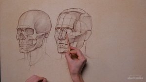 КАК РИСОВАТЬ ГОЛОВУ ЧЕЛОВЕКА.