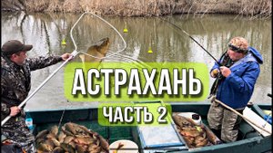 Весенняя рыбалка в Астрахани.Часть 2я.