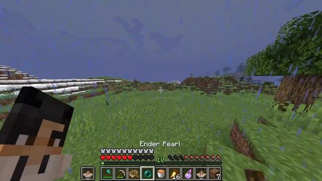 1,234 Poison Spiders vs Minecraft SMP смотреть онлайн