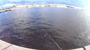 #Рыбалка_на_Неве #Санкт_Петербург Заключительная рыбалка в прекрасном городе на Неве