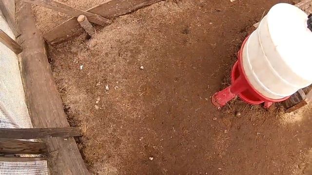 Дренаж птичника // Из города в деревню. смотреть онлайн