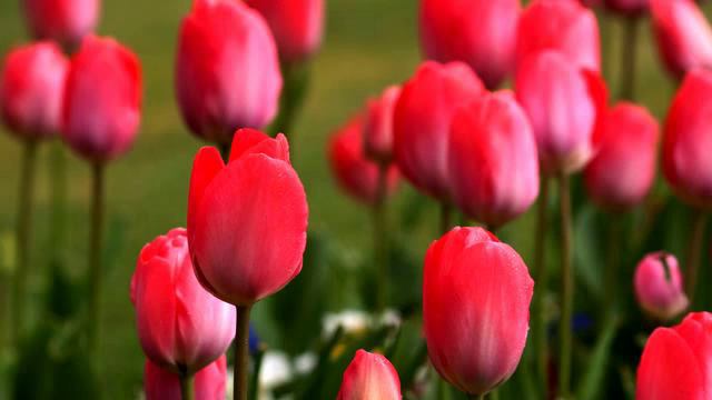 Слушать хорошую музыку для автомобиля онлайн смотреть онлайн