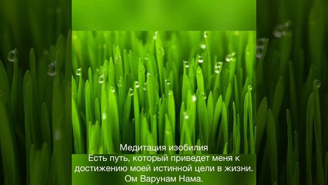 14 День Медитация на изобилие оригинальная версия на английском языке. смотреть онлайн
