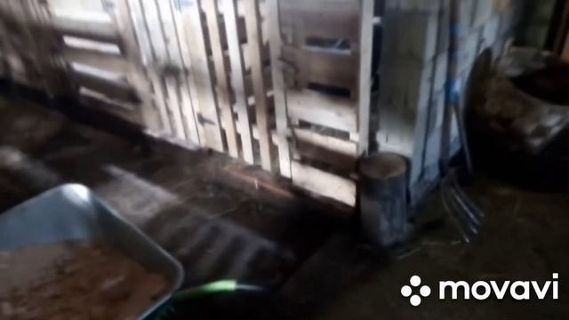 За сеном на МтЗ. Разбили Ниву? смотреть онлайн