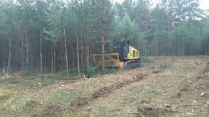 Техника, которая превращает деревья в щепки за СЕКУНДЫ! Мульчер ТМ250 ТайгаМастер.