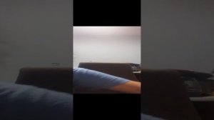 тест на солиустойчевасти